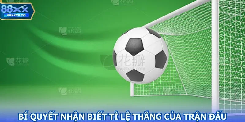 Bí Quyết Nhận Biết Tỉ Lệ Thắng Của Trận Đấu Hấp Dẫn
