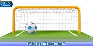 Các Loại Kèo Bóng Đá Hàng Đầu Dành Mọi Người Lựa Chọn 