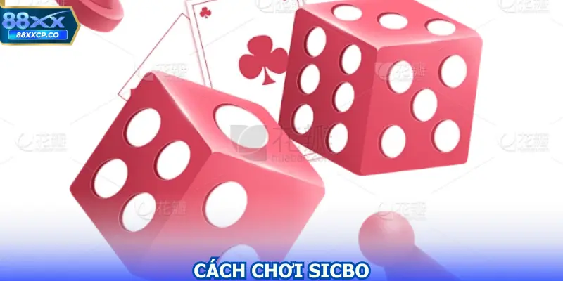 Cách Chơi Sicbo Với Chiến Lược Quản Lý Vốn Từ Cao Thủ