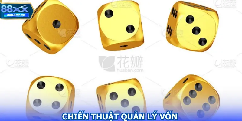 Chiến thuật quản lý vốn của tất cả các thành viên