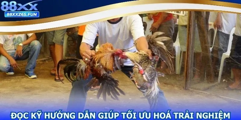 Các hình thức đá gà phổ biến 