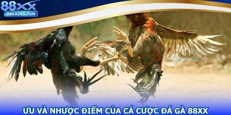 Lợi ích của việc trải nghiệm siêu phẩm đá gà tại 88XX 